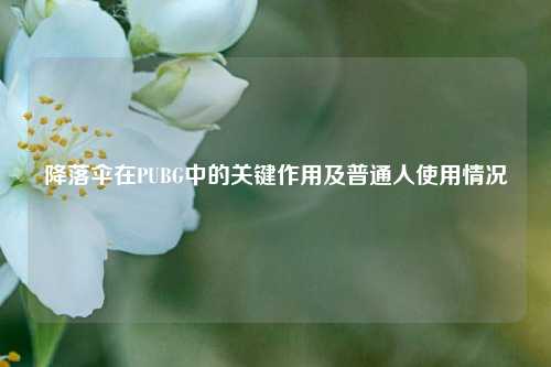 降落伞在PUBG中的关键作用及普通人使用情况
