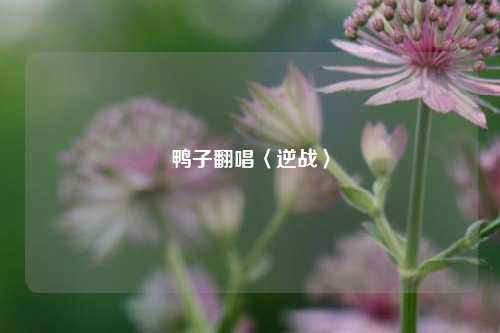 鸭子翻唱〈逆战〉