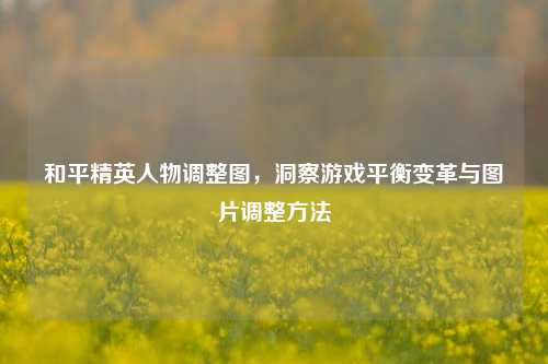和平精英人物调整图，洞察游戏平衡变革与图片调整方法