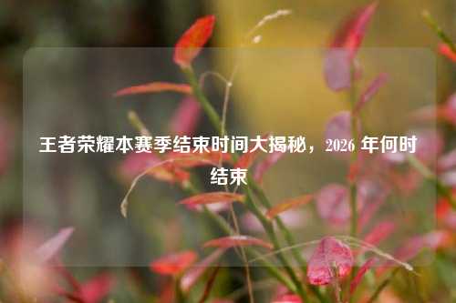 王者荣耀本赛季结束时间大揭秘，2026 年何时结束