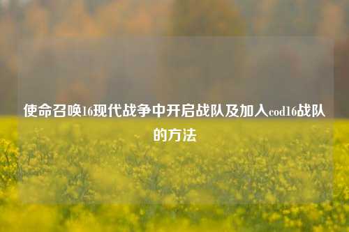 使命召唤16现代战争中开启战队及加入cod16战队的方法