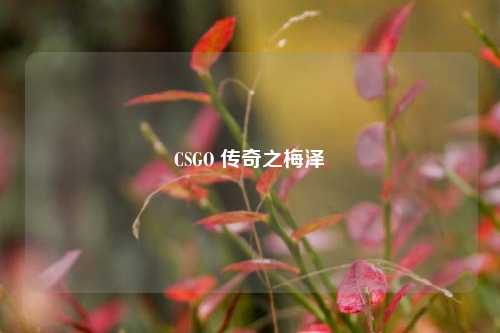 CSGO 传奇之梅泽