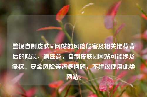 警惕自制皮肤lol网站的风险危害及相关推荐背后的隐患,需注意,自制皮肤lol网站可能涉及侵权、安全风险等诸多问题,不建议使用此类网站。