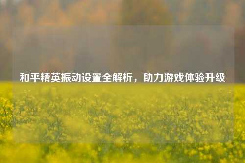 和平精英振动设置全解析,助力游戏体验升级
