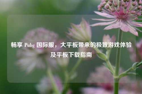 畅享 Pubg 国际服，大平板带来的极致游戏体验及平板下载指南