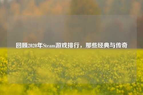 回顾2020年Steam游戏排行，那些经典与传奇