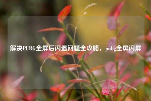解决PUBG全屏后闪退问题全攻略，pubg全屏闪屏