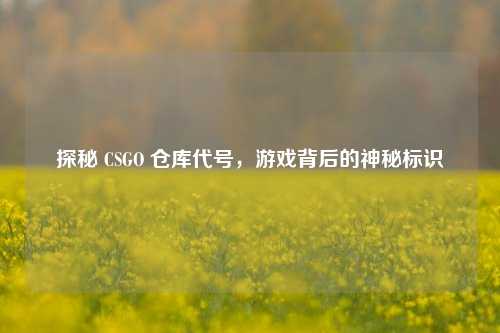 探秘 CSGO 仓库代号,游戏背后的神秘标识
