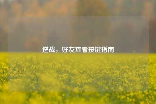 逆战,好友查看按键指南