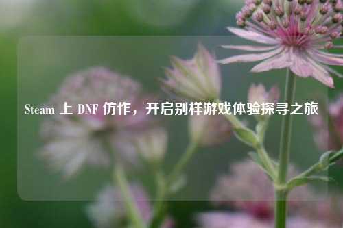 Steam 上 DNF 仿作，开启别样游戏体验探寻之旅