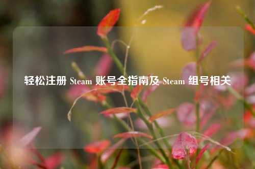 轻松注册 Steam 账号全指南及 Steam 组号相关