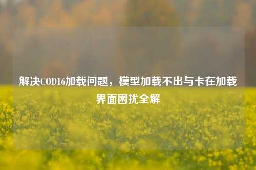 解决COD16加载问题,模型加载不出与卡在加载界面困扰全解