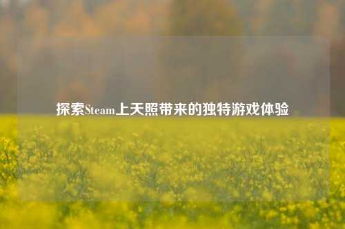 探索Steam上天照带来的独特游戏体验