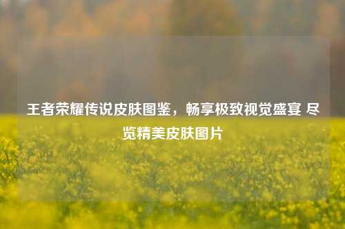 王者荣耀传说皮肤图鉴，畅享极致视觉盛宴 尽览精美皮肤图片
