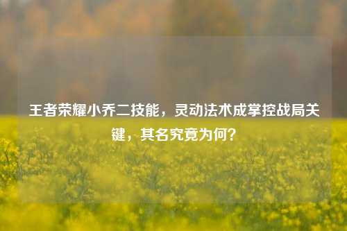 王者荣耀小乔二技能,灵动法术成掌控战局关键,其名究竟为何?