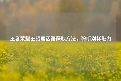 王者荣耀王昭君话语获取方法，聆听别样魅力