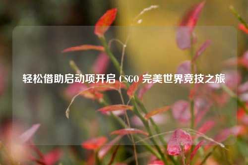 轻松借助启动项开启 CSGO 完美世界竞技之旅