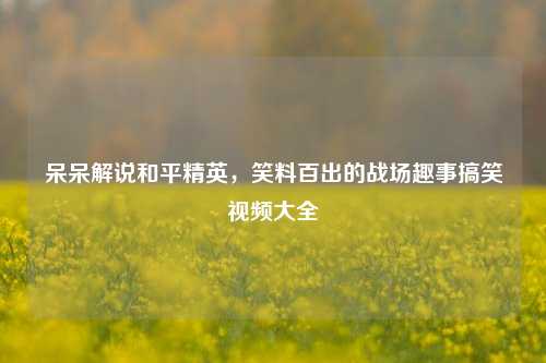呆呆解说和平精英，笑料百出的战场趣事搞笑视频大全