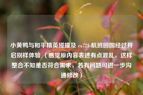 小黄鸭与和平精英碰撞及 ca722 航班回国经过开启别样体验 (感觉原内容表述有点混乱,这样整合不知是否符合需求,若有问题可进一步沟通修改)