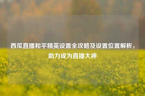西瓜直播和平精英设置全攻略及设置位置解析,助力成为直播大神