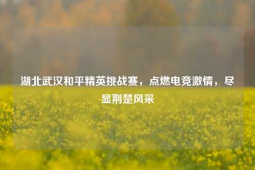 湖北武汉和平精英挑战赛,点燃电竞激情,尽显荆楚风采