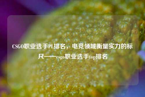 CSGO职业选手PL排名,电竞领域衡量实力的标尺——csgo职业选手top排名