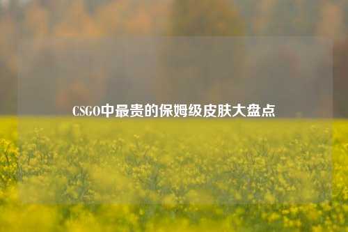 CSGO中最贵的保姆级皮肤大盘点