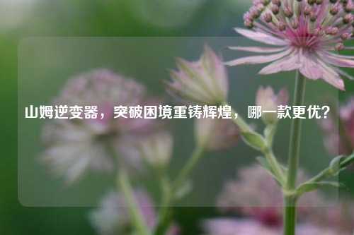 山姆逆变器,突破困境重铸辉煌,哪一款更优?