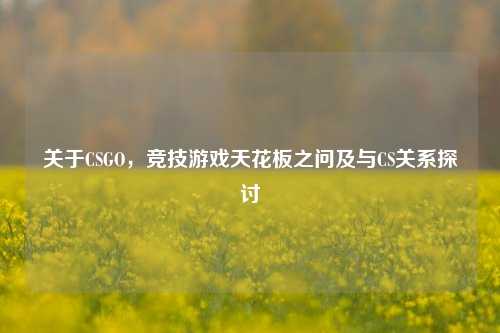 关于CSGO，竞技游戏天花板之问及与CS关系探讨