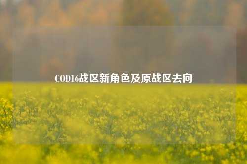 COD16战区新角色及原战区去向