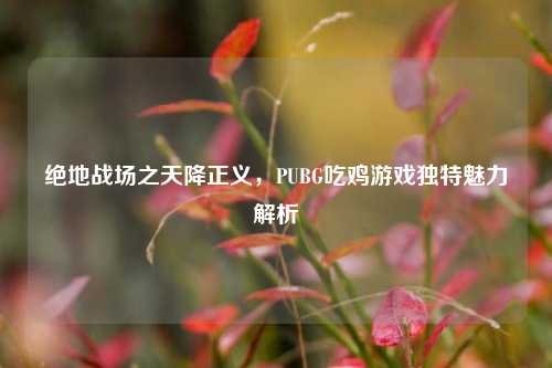 绝地战场之天降正义,PUBG吃鸡游戏独特魅力解析