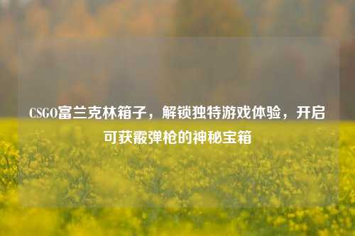 CSGO富兰克林箱子,解锁独特游戏体验,开启可获霰弹枪的神秘宝箱