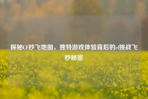 探秘CF秒飞地图,独特游戏体验背后的cf挑战飞秒秘密