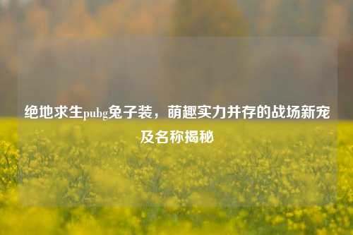 绝地求生pubg兔子装,萌趣实力并存的战场新宠及名称揭秘