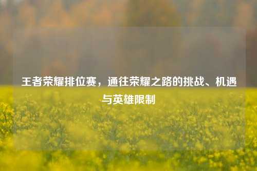 王者荣耀排位赛,通往荣耀之路的挑战、机遇与英雄限制