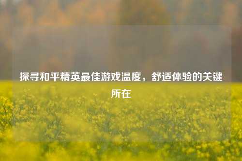 探寻和平精英最佳游戏温度,舒适体验的关键所在