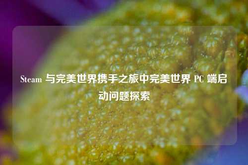 Steam 与完美世界携手之旅中完美世界 PC 端启动问题探索