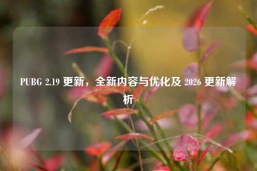 PUBG 2.19 更新,全新内容与优化及 2026 更新解析