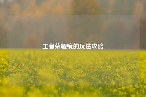 王者荣耀镜的玩法攻略