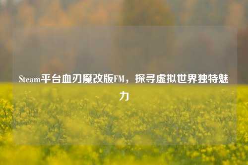 Steam平台血刃魔改版FM,探寻虚拟世界独特魅力