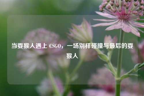 当耍猴人遇上 CSGO,一场别样碰撞与最后的耍猴人