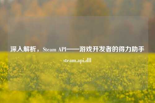深入解析,Steam API——游戏开发者的得力助手steam.api.dll