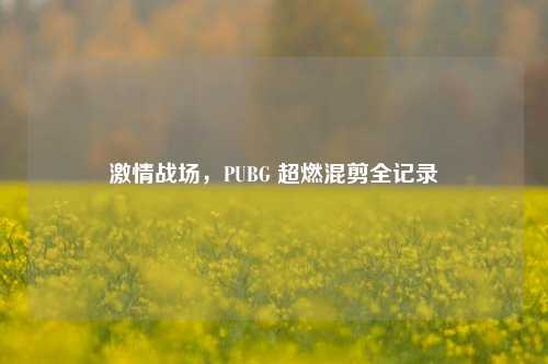 激情战场,PUBG 超燃混剪全记录