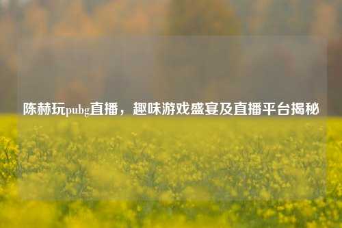 陈赫玩pubg直播,趣味游戏盛宴及直播平台揭秘