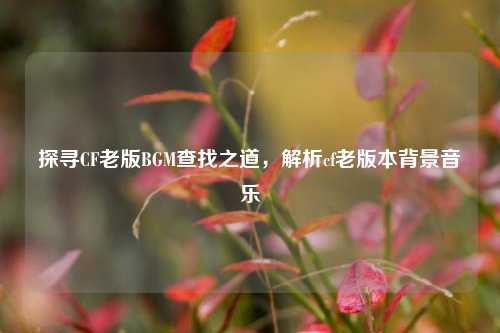 探寻CF老版BGM查找之道,解析cf老版本背景音乐