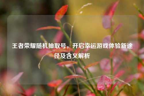王者荣耀随机抽取号,开启幸运游戏体验新途径及含义解析