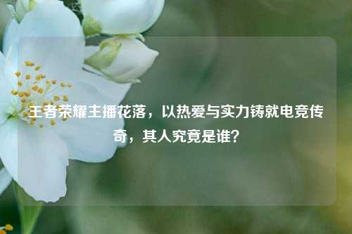 王者荣耀主播花落,以热爱与实力铸就电竞传奇,其人究竟是谁?