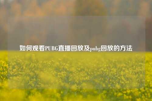 如何观看PUBG直播回放及pubg回放的方法