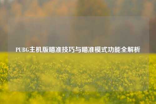 PUBG主机版瞄准技巧与瞄准模式功能全解析