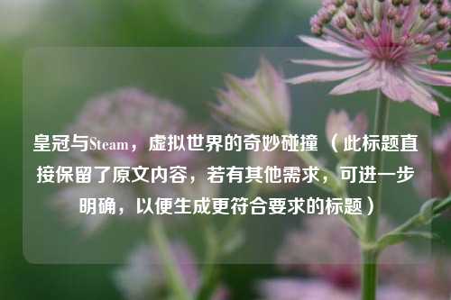 皇冠与Steam,虚拟世界的奇妙碰撞 (此标题直接保留了原文内容,若有其他需求,可进一步明确,以便生成更符合要求的标题)